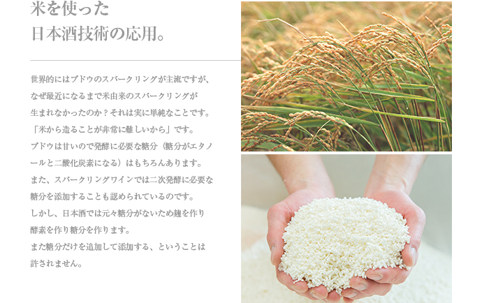【１】米を使った日本酒技術の応用１
