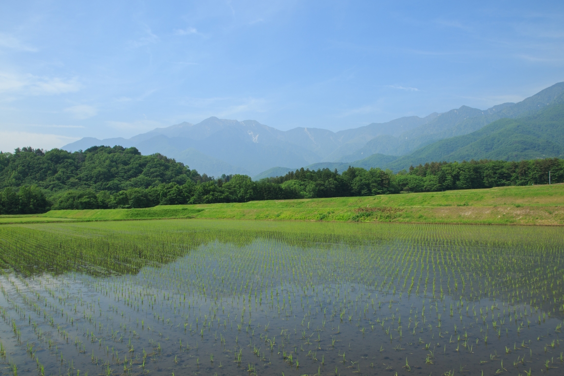 水と米