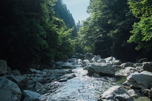 尾白川の保全活動
